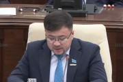 Депутат TikTok, Instagram, YouTube-те құқыққа қайшы тікелей эфирлерді бұғаттау мәселесін көтерді